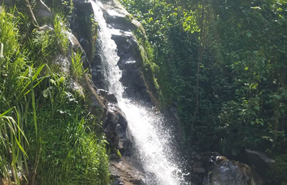 Gishwati Forest waterfall hiking