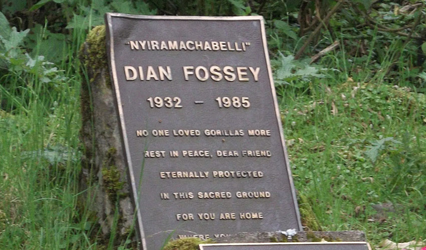 Dian Fossey Grave hike