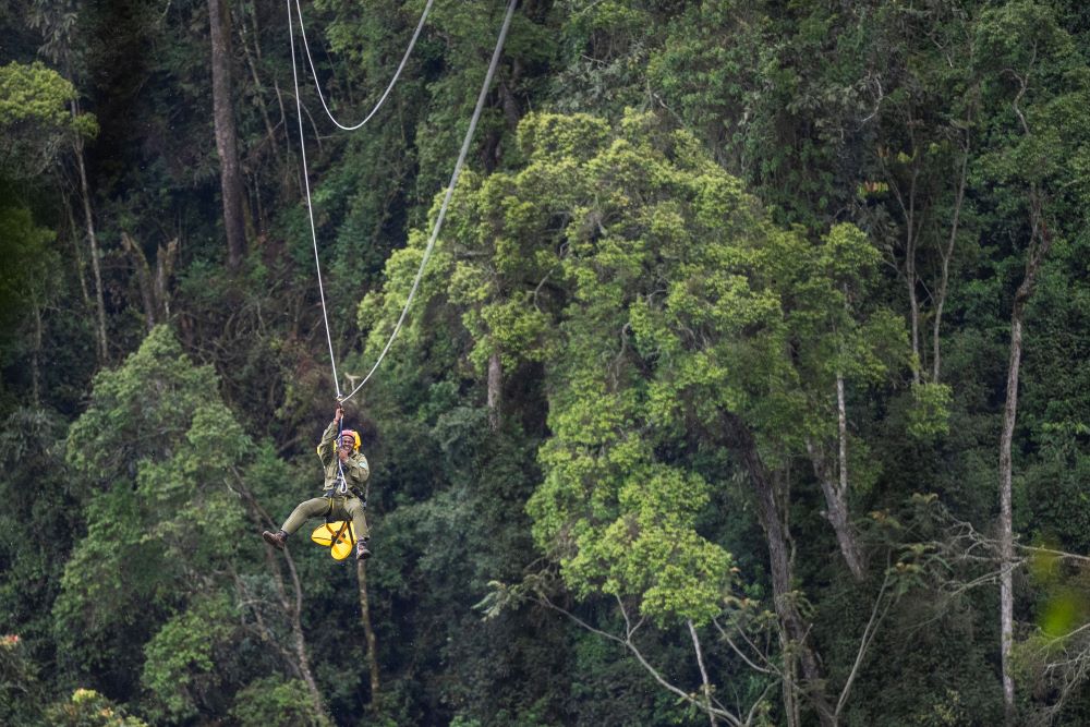 Nyungwe zipline glides over the rainforest