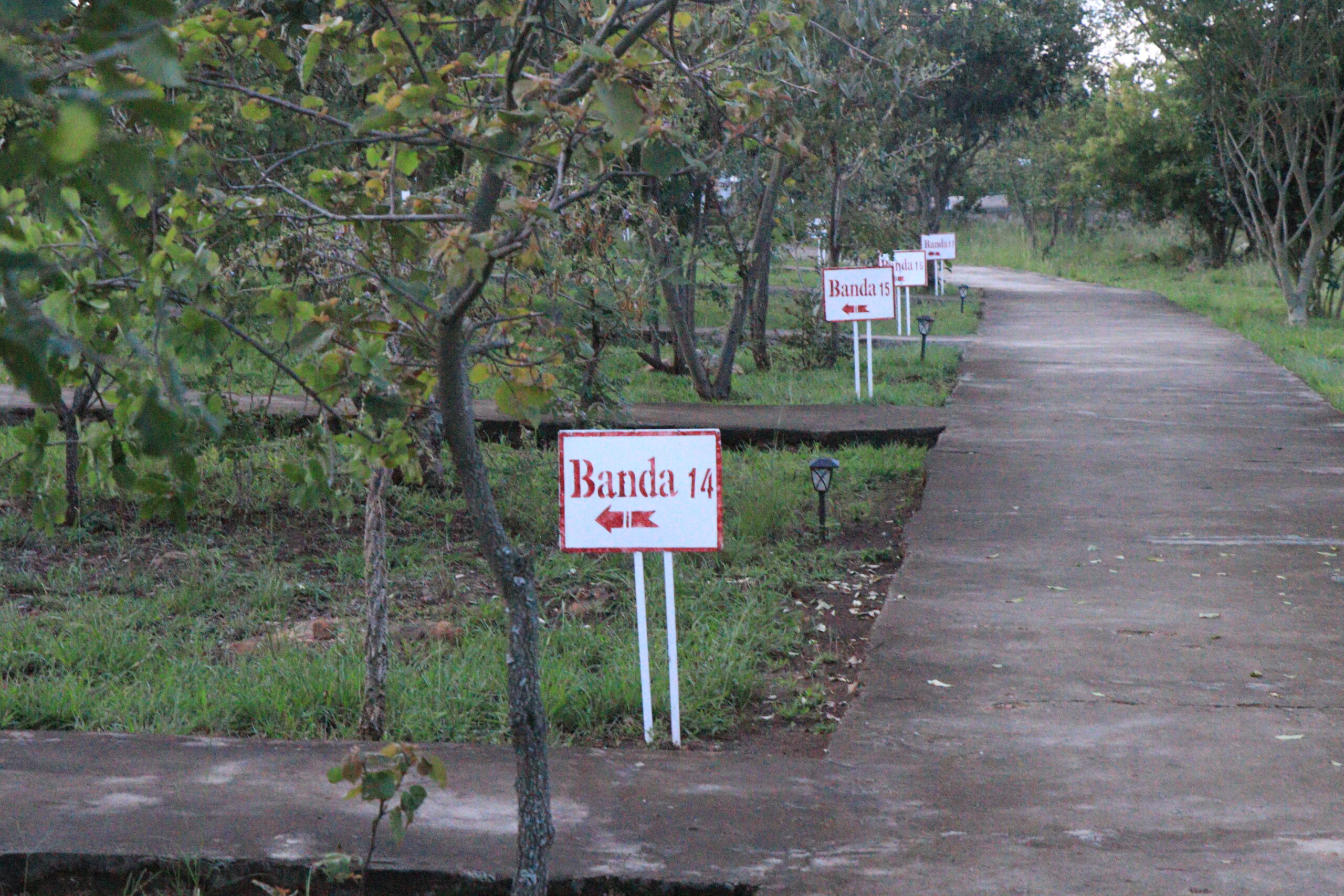 Akagera Safari Camp Accommodation.